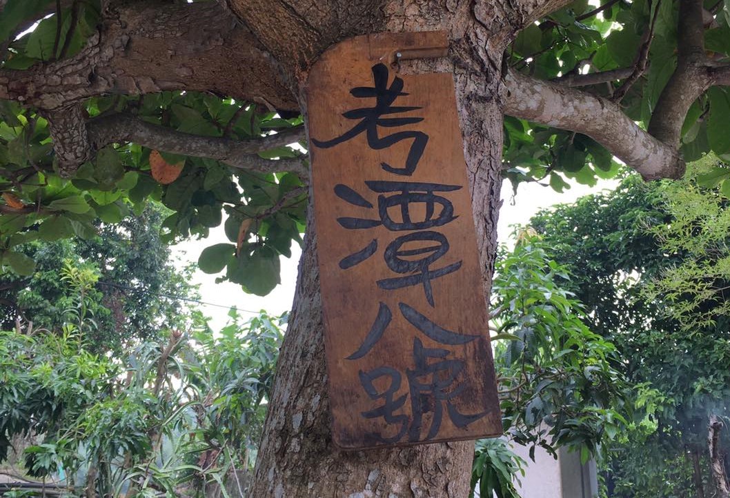 考潭八號